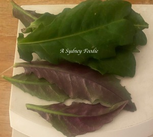 purple okinawa spinach leaves on a kitchen scale